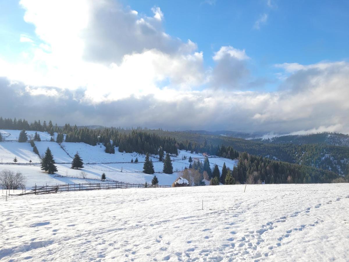 Casuta De Vacanta Marisel, Cluj Zewnętrze zdjęcie