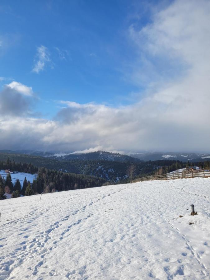 Casuta De Vacanta Marisel, Cluj Zewnętrze zdjęcie