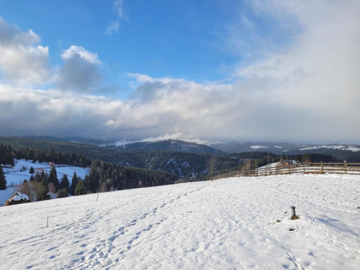 Casuta De Vacanta Marisel, Cluj Zewnętrze zdjęcie